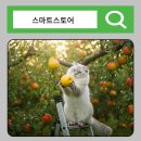 네이버쇼핑몰(스마트스토어)개설과 운영 | 스마트스토어 위탁판매 하는법 A~Z 가이드