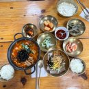 태평초 이미지