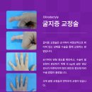강남챔피언정형외과의원 이미지