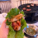 댕 빌리지 | 제천바베큐 제천캠핑장 제천셀프바베큐 “ 불멍빌리지 ” (텐트4시간이용+바베큐)