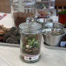 꼼꼼하개 | 건대 데이트 공방 추천 / 라플랜트 테라리움 원데이클래스_포근한 분위기에서 완성하는 나만의 식물