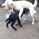 대동농산