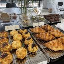 그래티파이 커피 이미지