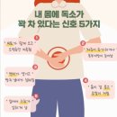 진짜 한 번 가보고 싶었던 곳! 입석동 라라핏 점핑 다이어트!