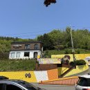 서진이네 | 삼천포 가볼만한곳｜박서진 팬이라면 꼭! ‘서진이네 건어물’ 후기
