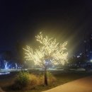 1029 | 1029 피아노 연습 늦은 후기