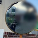 죽전운수 | 2025년 1월 #2