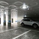 장충초등학교 이미지