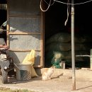 귀순농장 이미지