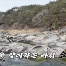 무릉도원면-39 이미지