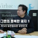 버박코리아(주) 이미지