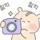 황형범 당구 아카데미 이미지