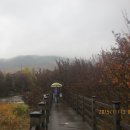 구례향기 이미지