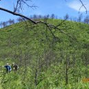 도계2리 이미지