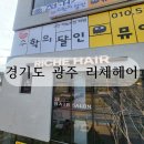 리체헤어 이미지