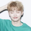 비컷 이미지