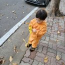 소화유치원 | 26번째 주간일기 제출합니다.