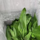 산골산내음 이미지