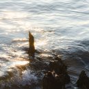 뮤지컬 ’명성황후’ 30주년 기념 공연 - 전주 이미지