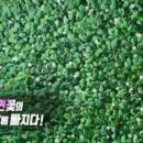 연꽃향기천연염색 이미지