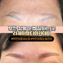 블랙스완속눈썹&눈썹부천점 | [부천 눈썹] 상동 눈썹 잘하는 곳, 속눈썹 전문 라제이뷰티아카데미 솔직 후기