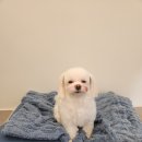 해피미용실 이미지