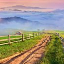 새동안길 이미지