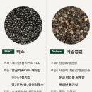 돌돌말다