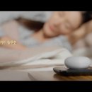 디비잠
