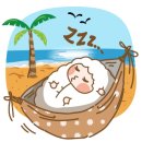 선교 행정사사무소 이미지
