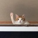 말랑말랑 이미지