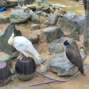 세븐일레븐인천석남율도로점 | 인천대공원 단풍명소 2025년 11월 실시간 후기