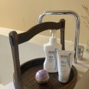 스테이외포 이미지