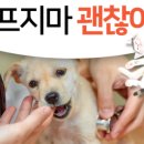 성남 시립동물병원 이미지