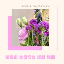 전국 꽃 배송 생화 꽃다발 택배 농장직송 가능한 블룸피