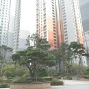 반포힐부동산공인중개사사무소 이미지