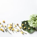 현한의원 이미지