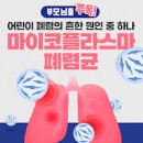 마이코플라즈마 폐렴 전염 검사 마이코플라스마 이미지