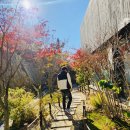 NR-1[고하대로]-상-20 | 목포 가을여행 목포여행 1박2일 동선 2025.11.15~16