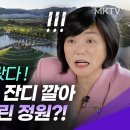 🔥한국인들만 가능하다는 기적! 830만 명이 넘게 방문해서 난리난 도시가 한국에 있다?! 이미지