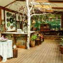 흥정계곡 409 이미지