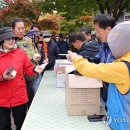 무릉도원면-48 이미지