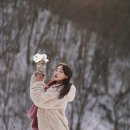 김샘헤어 네이버블로그