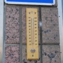 용일농장 이미지