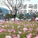 곡성-246 이미지