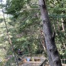 영월캠프 이미지