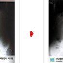 세란의원 이미지