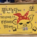 풍년 생고기 이미지