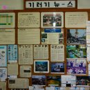 예산기러기칼국수 이미지