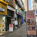 고양이사랑채 이미지